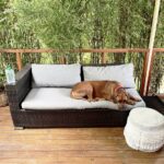 Stylish Studio 30 150x150