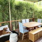 Stylish Studio 31 150x150