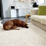 Stylish Studio 6 150x150