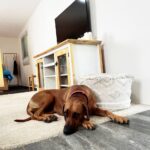 Stylish Studio 8 150x150