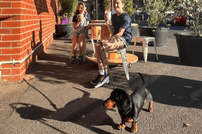 Surely Goodness 900600 11 768x512