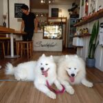 Switchfoot 1 150x150