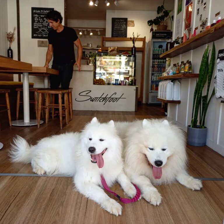 Switchfoot 1 768x768