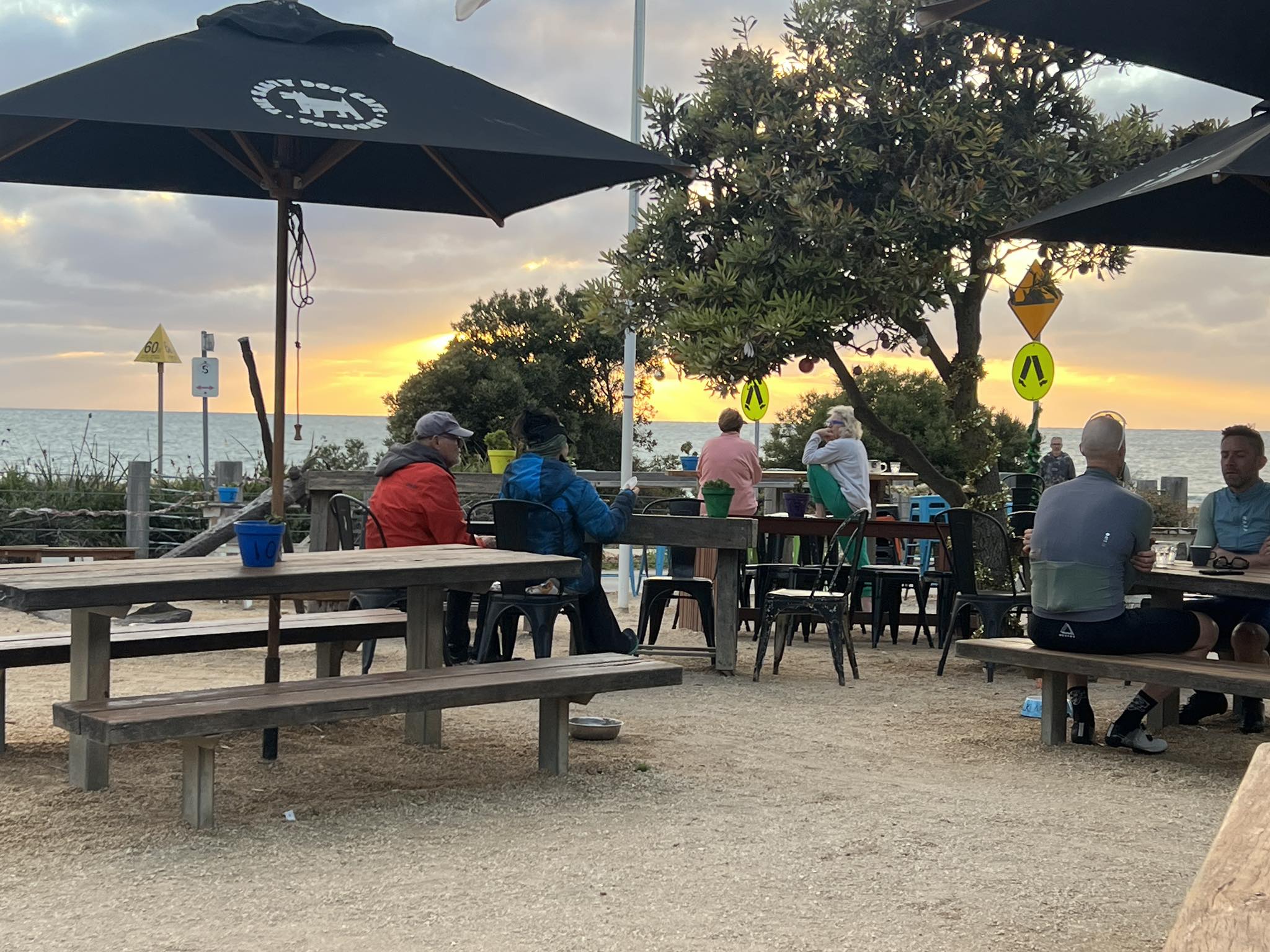 The Salty Dog Cafe 1