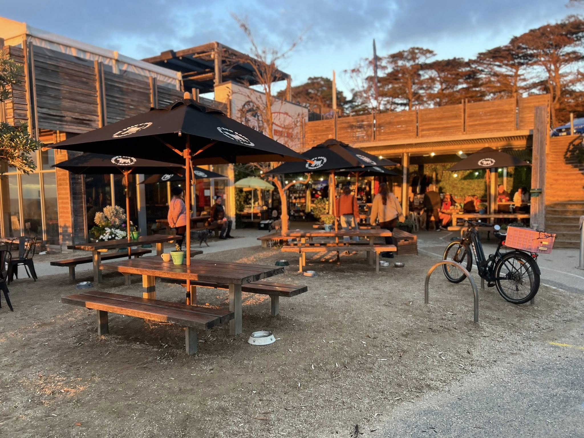 The Salty Dog Cafe 6