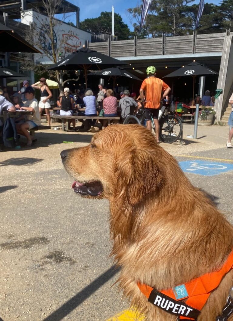 The Salty Dog Cafe 8 768x1057