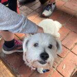 WhatsApp Image 2026 01 17 at 10.36.16 AM 150x150