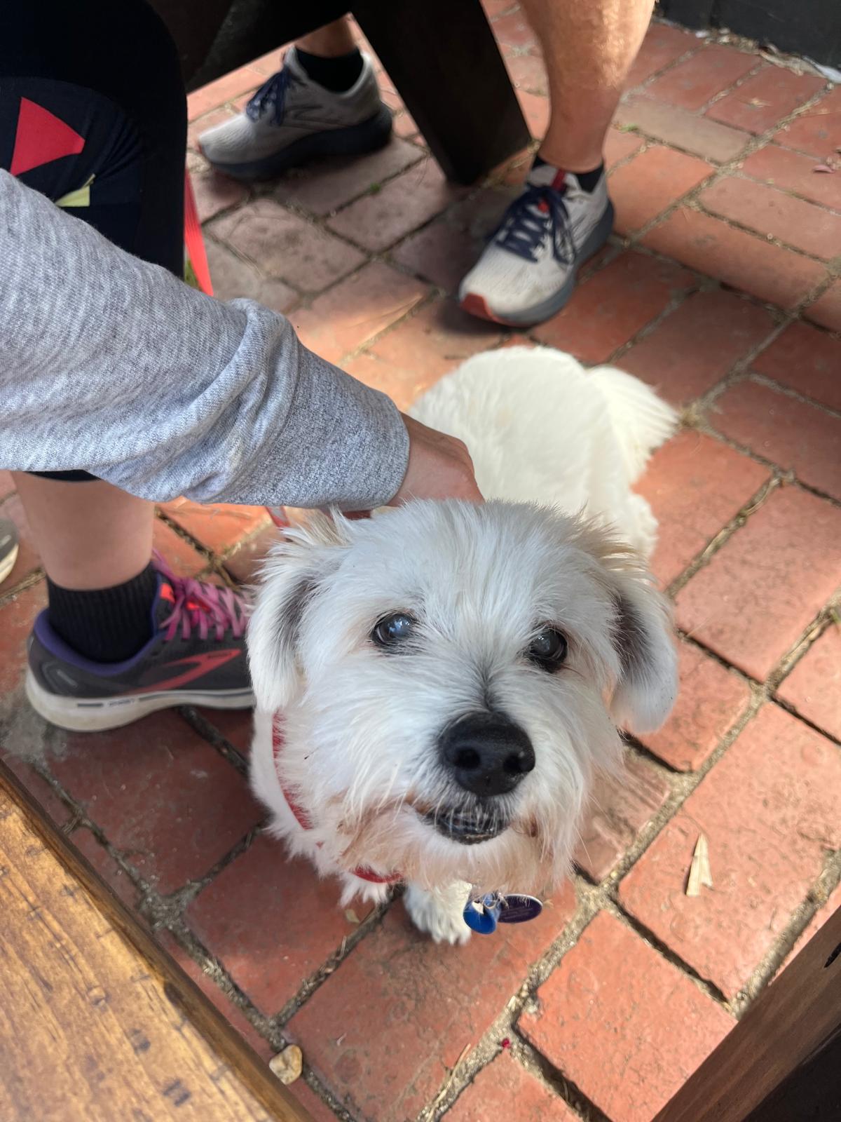 WhatsApp Image 2026 01 17 at 10.36.16 AM