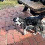 WhatsApp Image 2026 01 17 at 10.36.18 AM 150x150