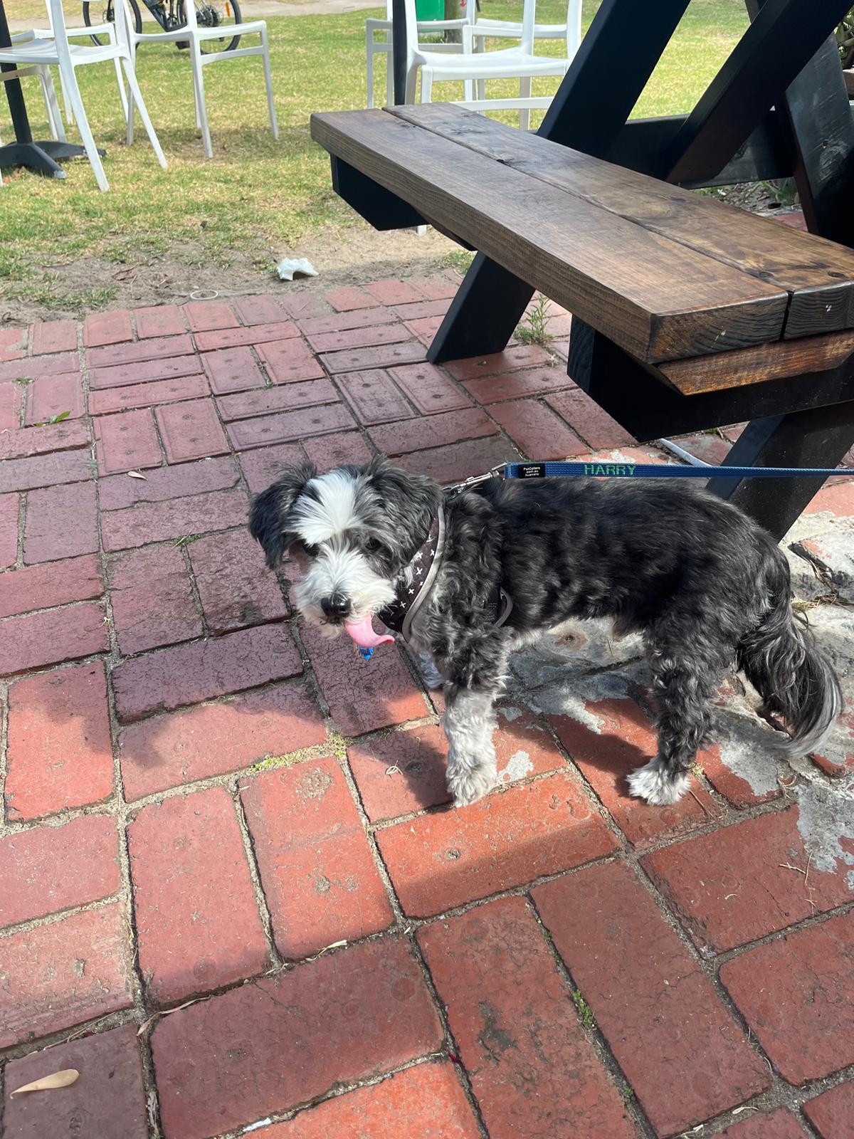 WhatsApp Image 2026 01 17 at 10.36.18 AM