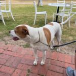 WhatsApp Image 2026 01 17 at 9.23.45 AM 1 150x150