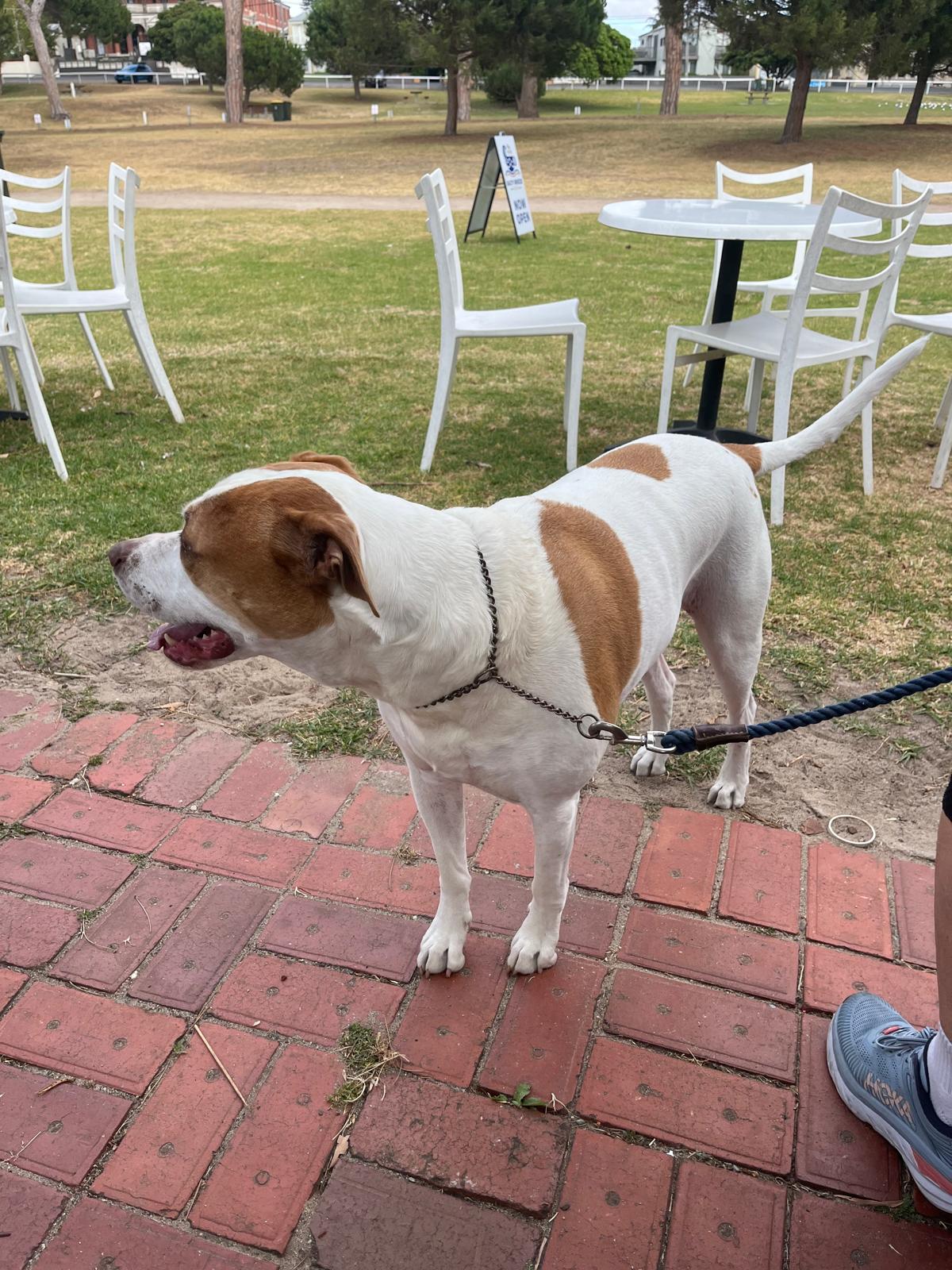 WhatsApp Image 2026 01 17 at 9.23.45 AM 1