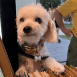 ZINC 900600 12 150x150