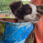 ZINC 900600 13 150x150