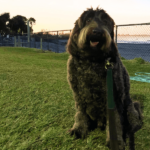 ZINC 900600 14 150x150