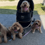 ZINC 900600 15 150x150