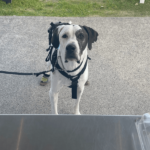 ZINC 900600 16 150x150