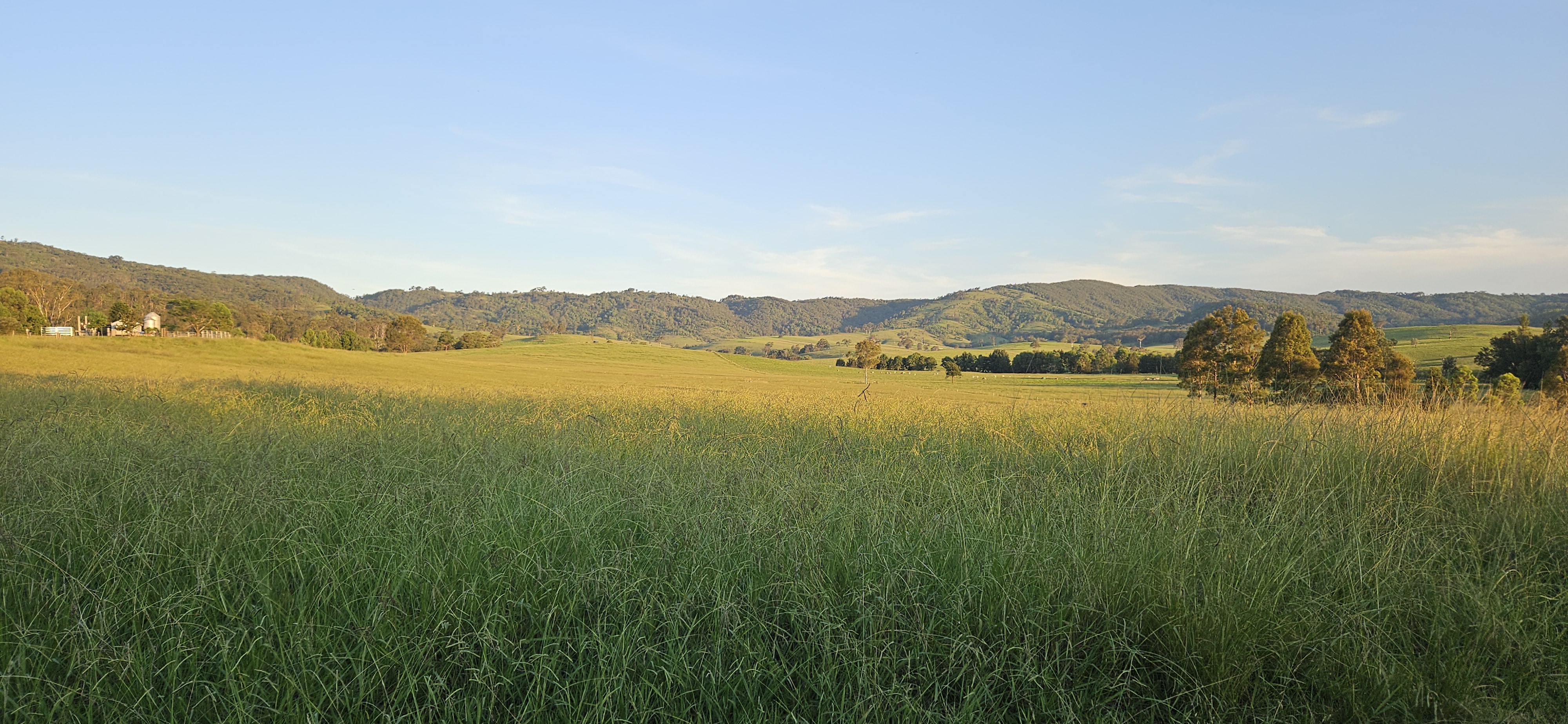 The Wattle Lodge The Wattle Lodge