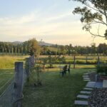 The Wattle Lodge The Wattle Lodge