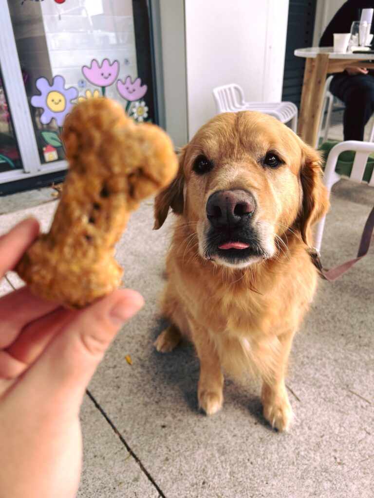 Flinders Lane Cafe 2 768x1024