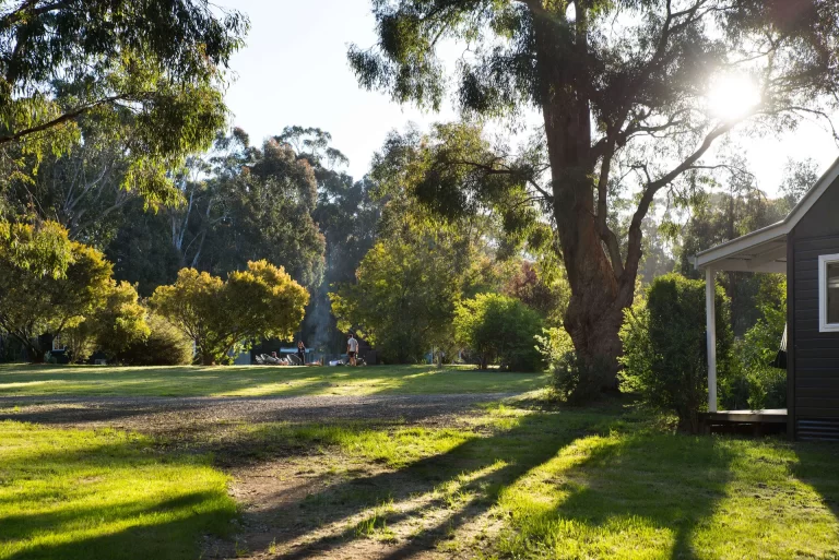 Forager at Bodhi 1 768x513