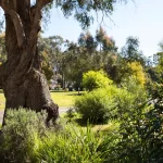 Forager at Bodhi 9 150x150