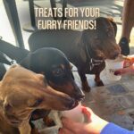 Haig Street Cafe 2 150x150