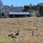 The Wattle Lodge The Wattle Lodge