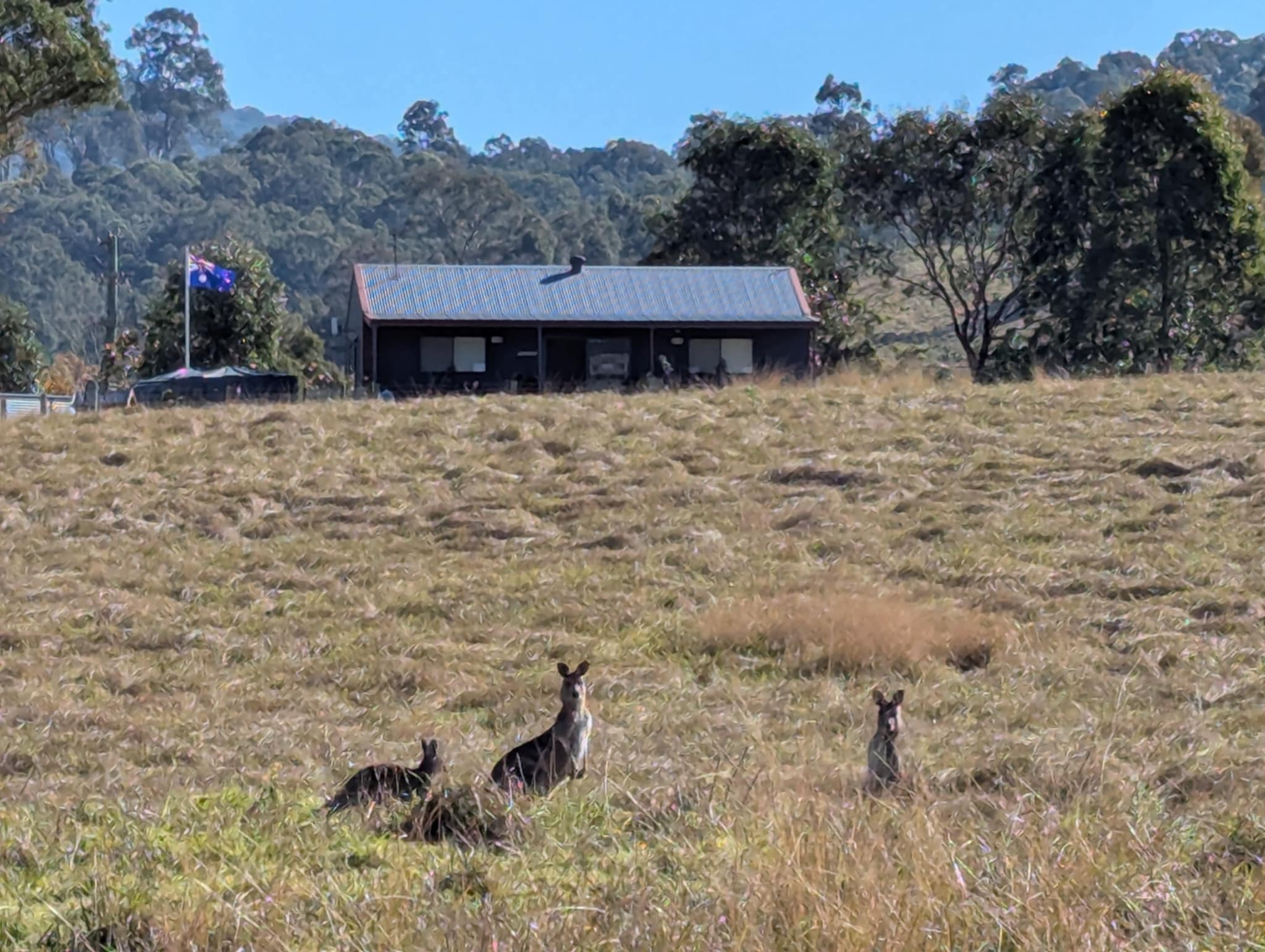 The Wattle Lodge The Wattle Lodge