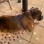 Ministry of Beer 7 150x150