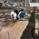 Mount Buninyong Winery 1 150x150