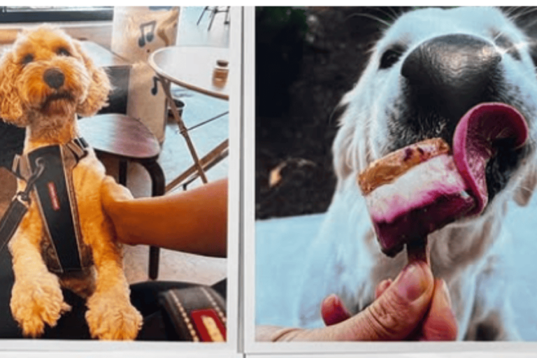 Roots And Culture 1 768x512