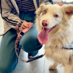 The Nines 1 900600 11 150x150