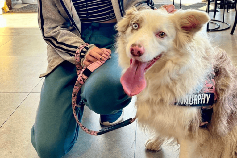 The Nines 1 900600 11 768x512