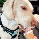 The Nines 2 900600 11 150x150