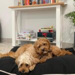 Tuncurry Cottage 9 150x150