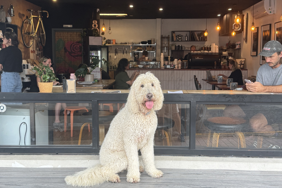 Westend Coffee Lab 900600 14