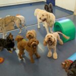 366548d0 110b 479e 8523 b2afb8a39e70 2 150x150