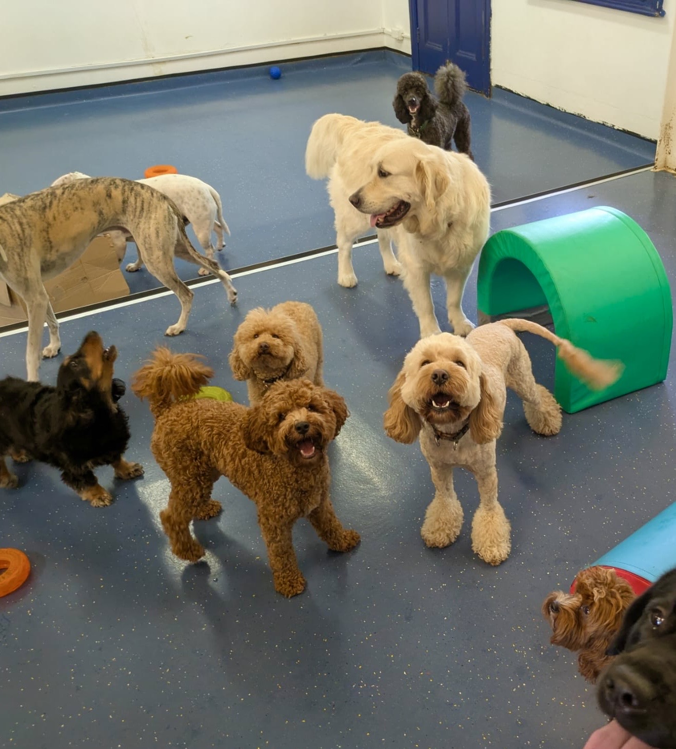 366548d0 110b 479e 8523 b2afb8a39e70 2