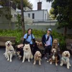 5a36af04 a00d 4778 b9e7 cef13949a9a9 2 150x150