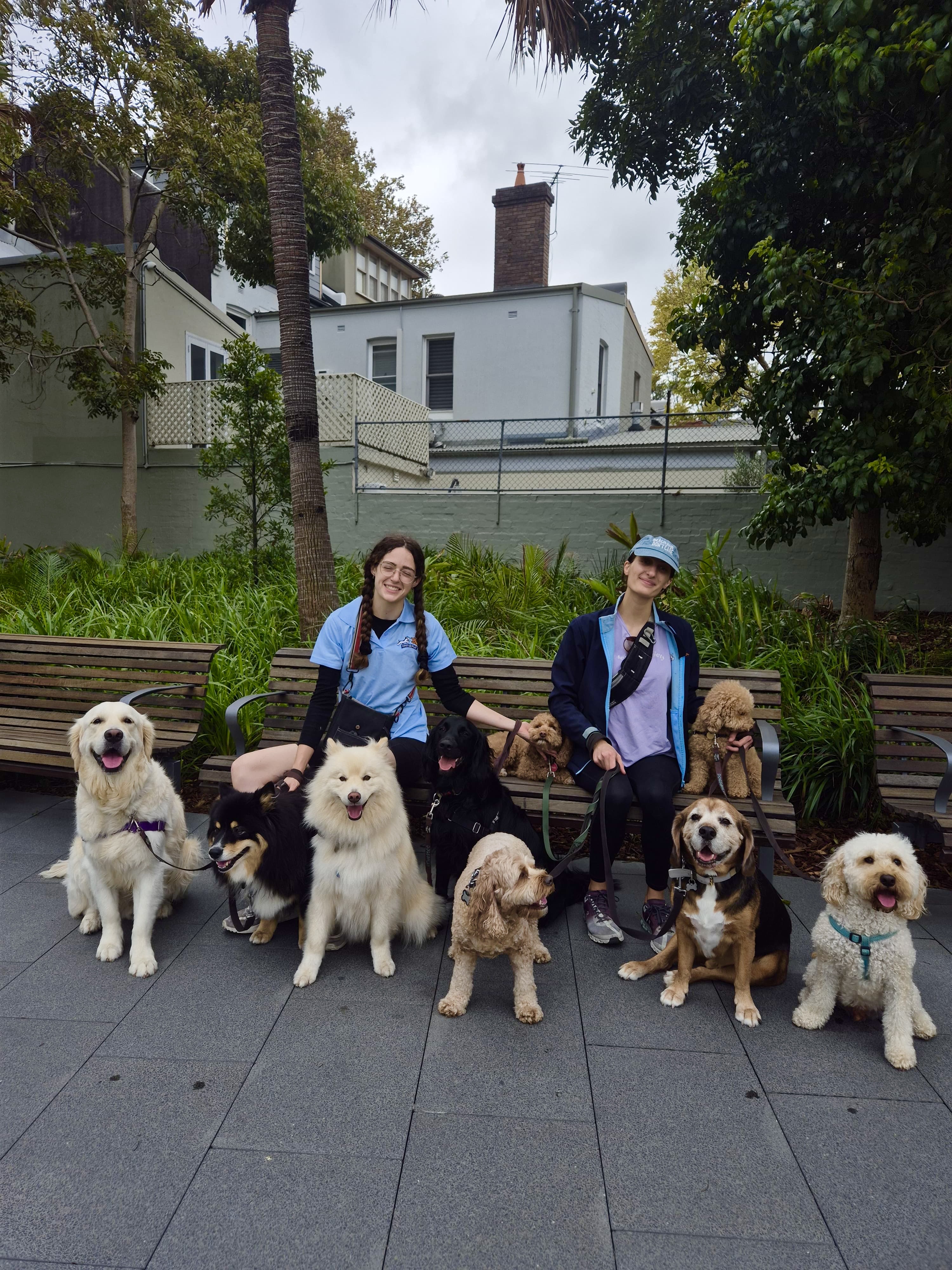 5a36af04 a00d 4778 b9e7 cef13949a9a9 2