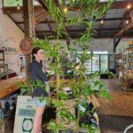 Fairhill Farm Shop 1 150x150