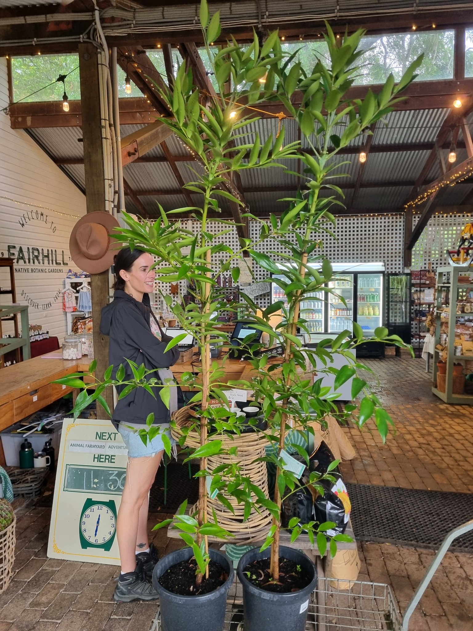 Fairhill Farm Shop 1