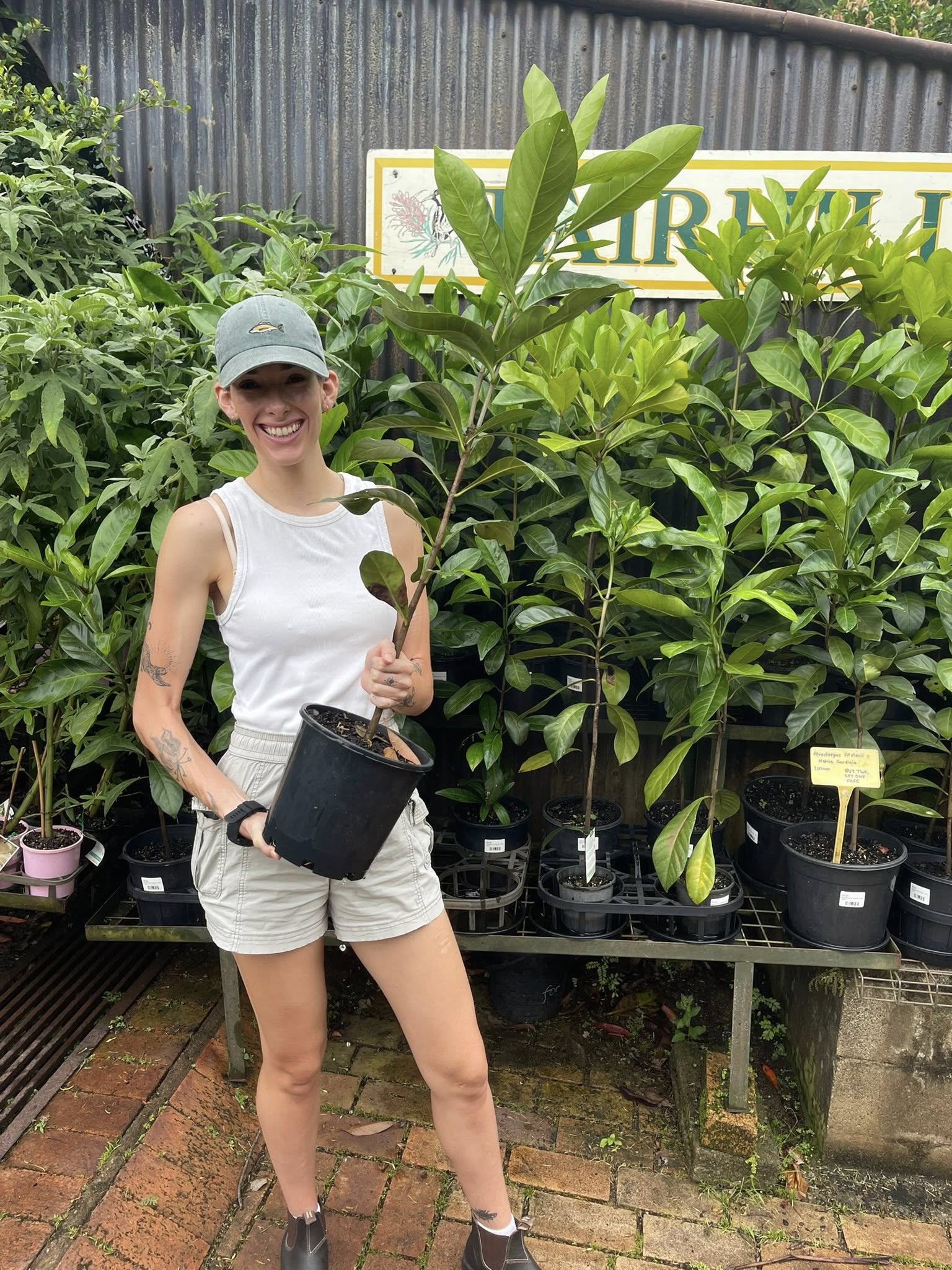 Fairhill Farm Shop 2