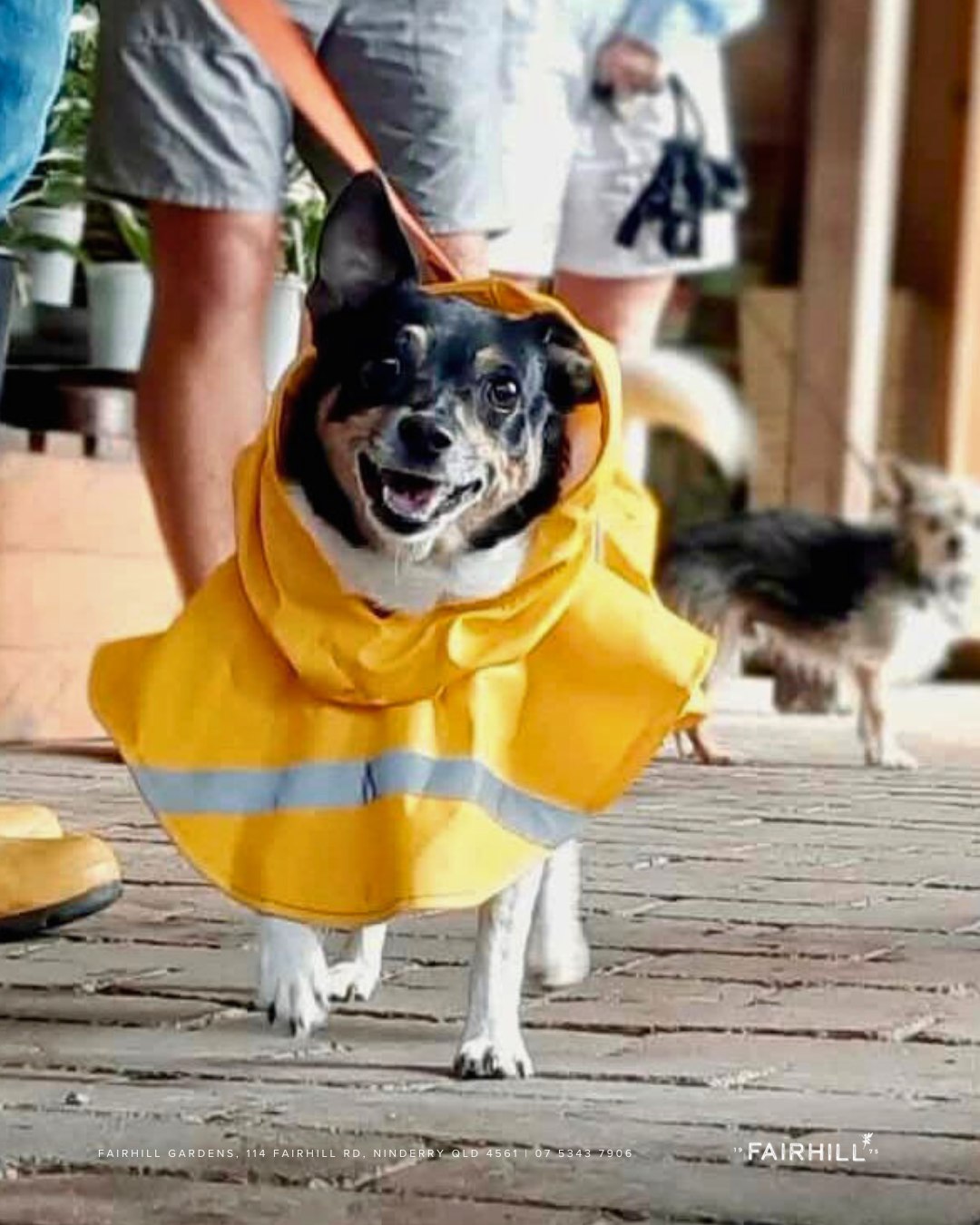 Fairhill Farm Shop 3