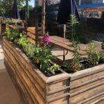 Madame Jude 1 150x150