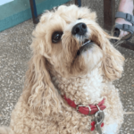 Mishka 2 900600 13 150x150