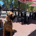 Paddington Ale House 6 150x150