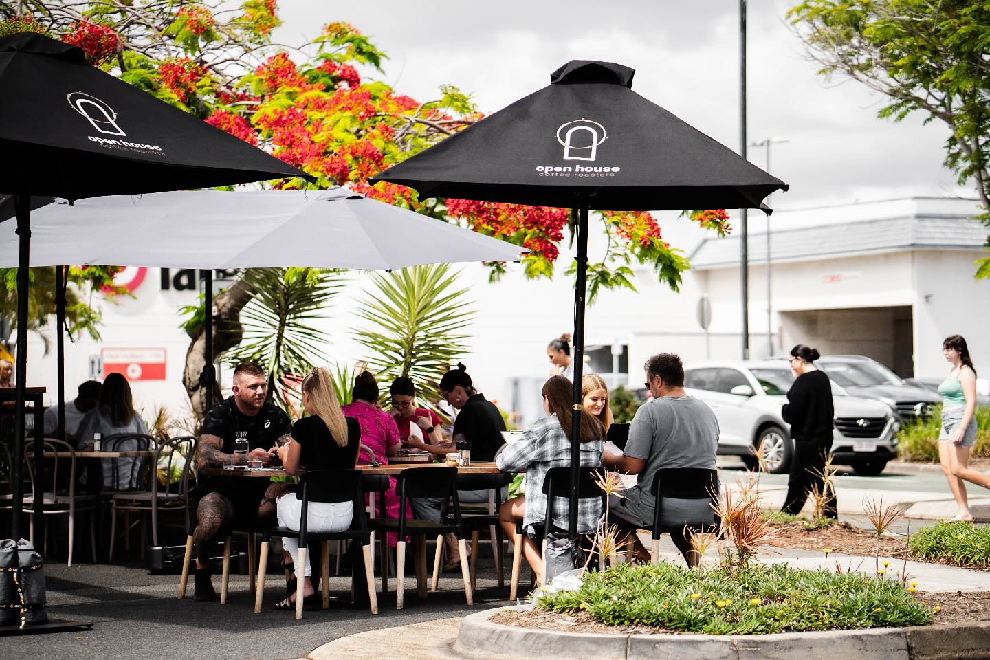 Substance Espresso 1