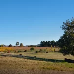 Sunset Retreat 9 150x150